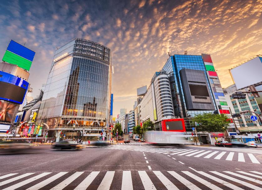 屋外の景色 写真