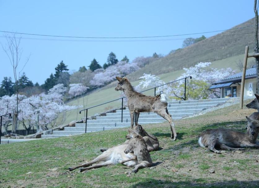その他 写真
