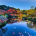 屋外の景色