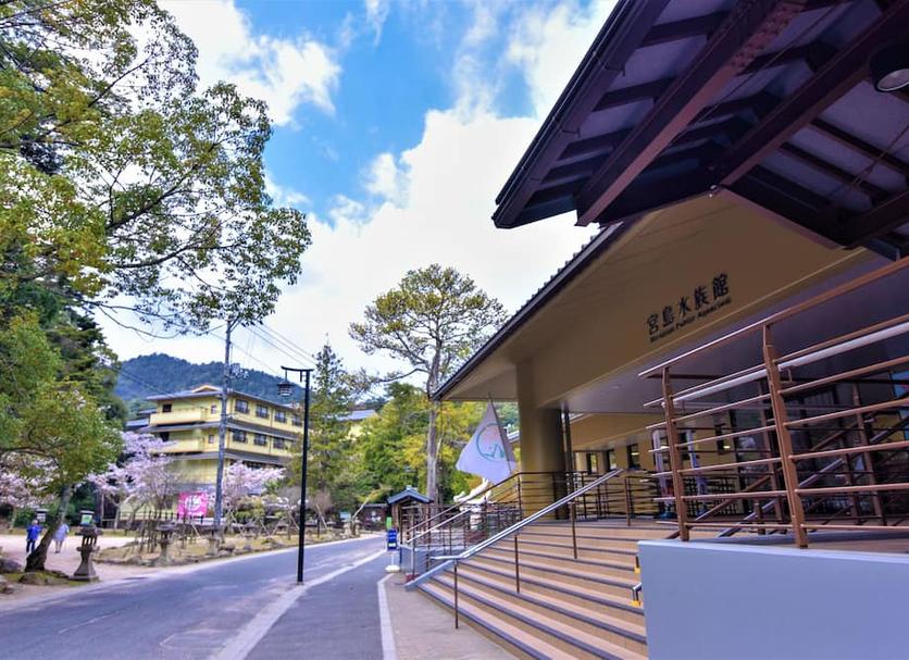 屋外の景色 写真