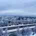 屋外の景色