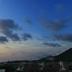 屋外の景色