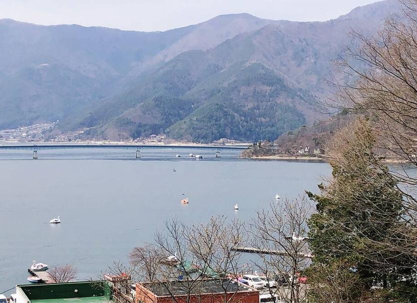 屋外の景色 写真