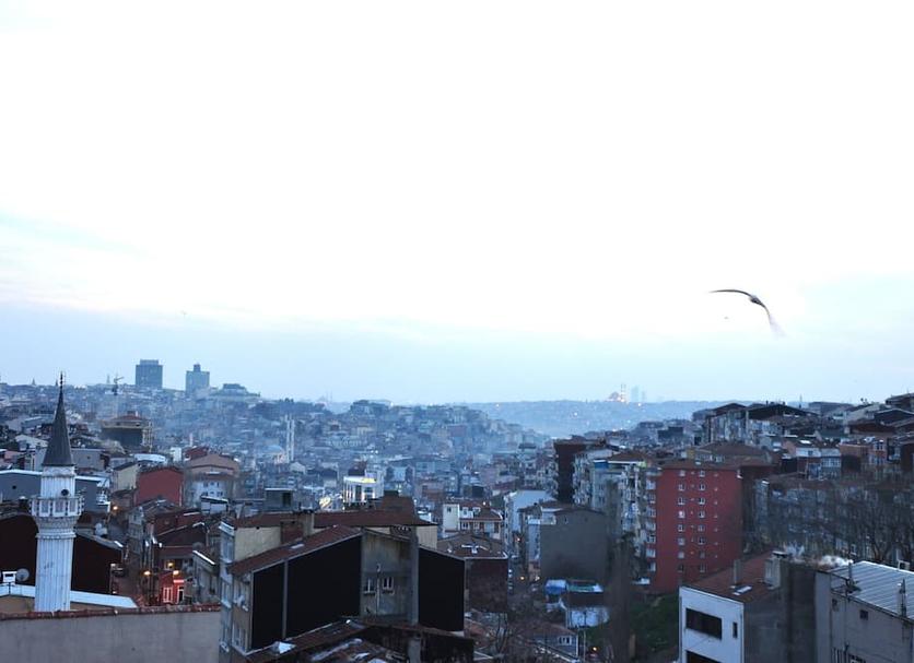 屋外の景色 写真