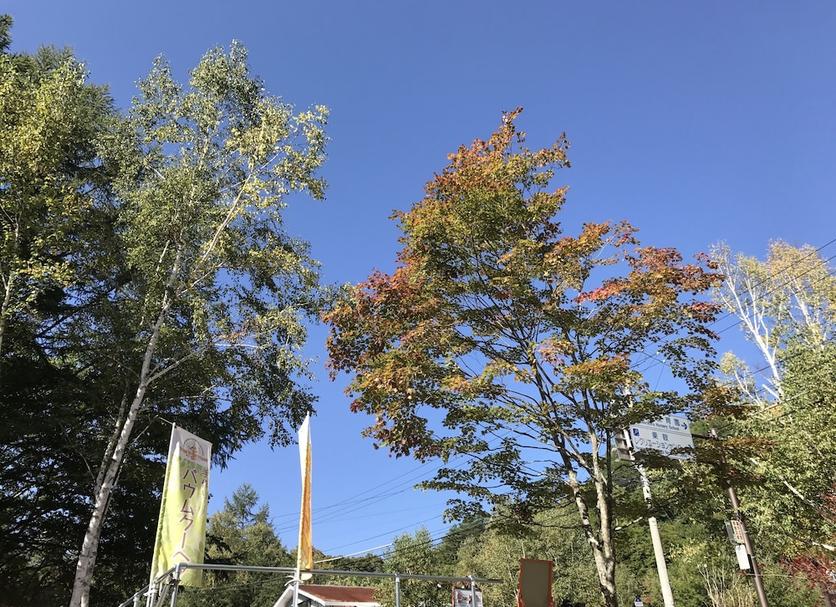 屋外の景色 写真
