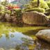 屋外の景色