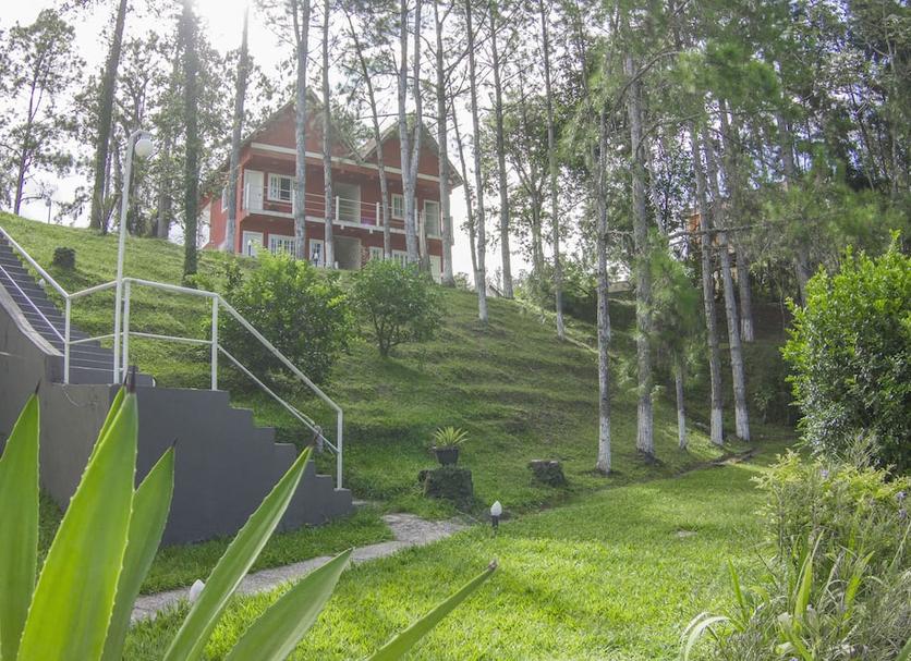 屋外の景色 写真