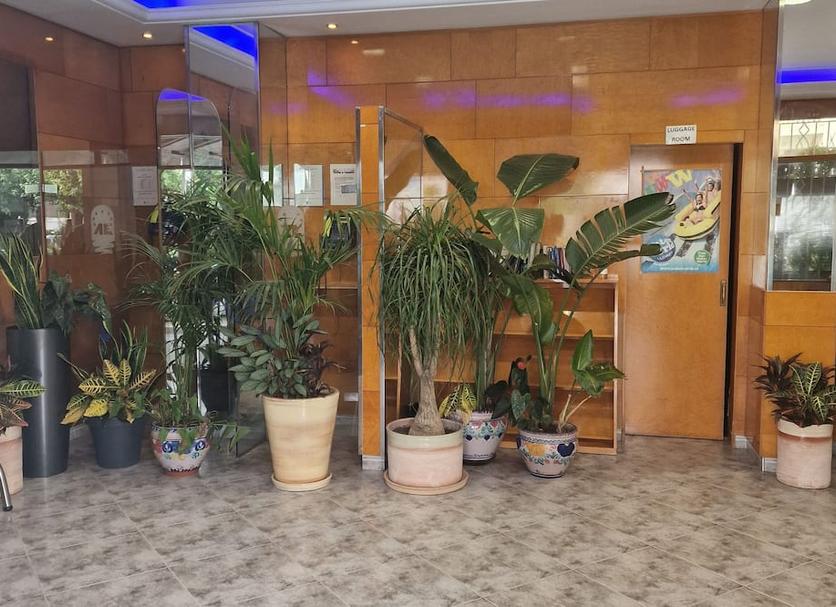 屋外の景色 写真