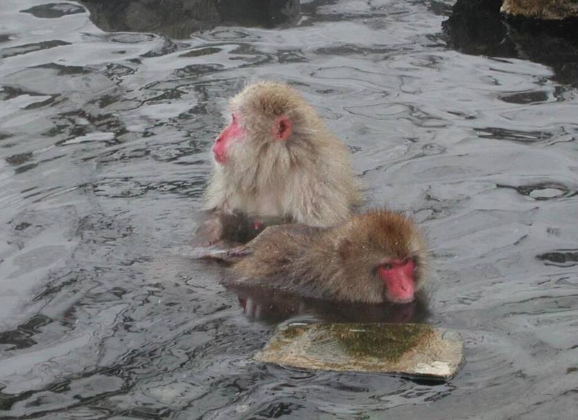 その他 写真