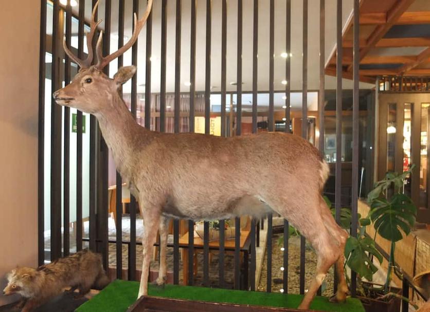 その他 写真