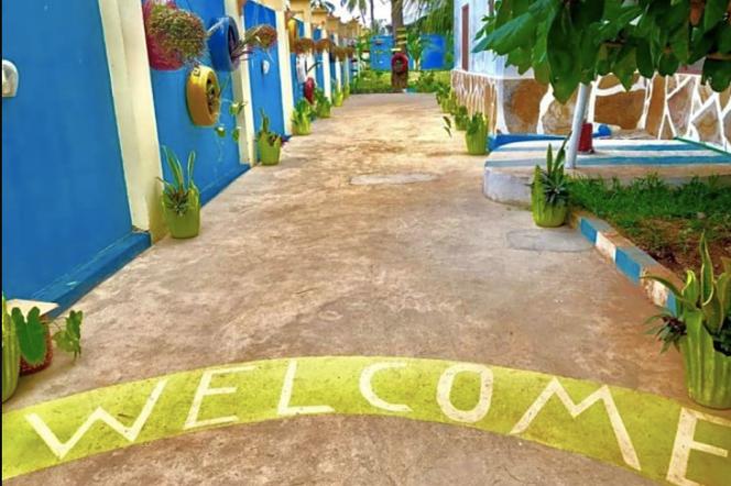 グリーンズ ナングウィ