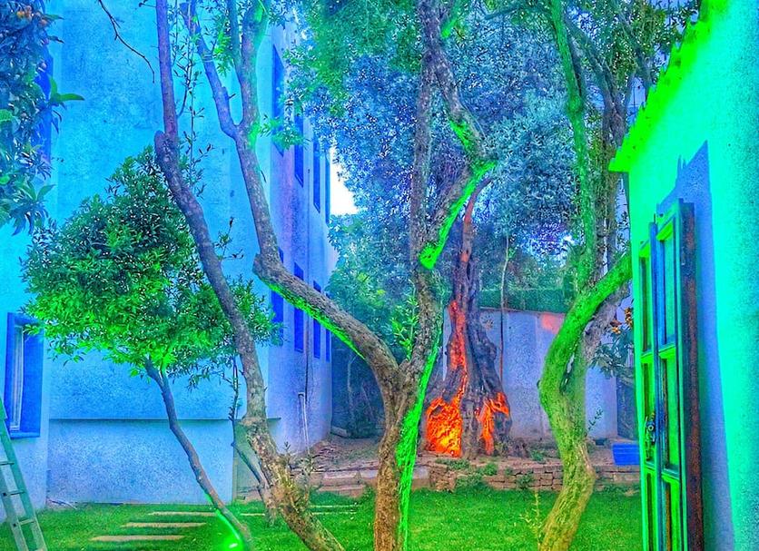 屋外の景色 写真