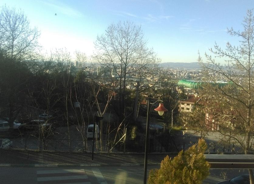屋外の景色 写真