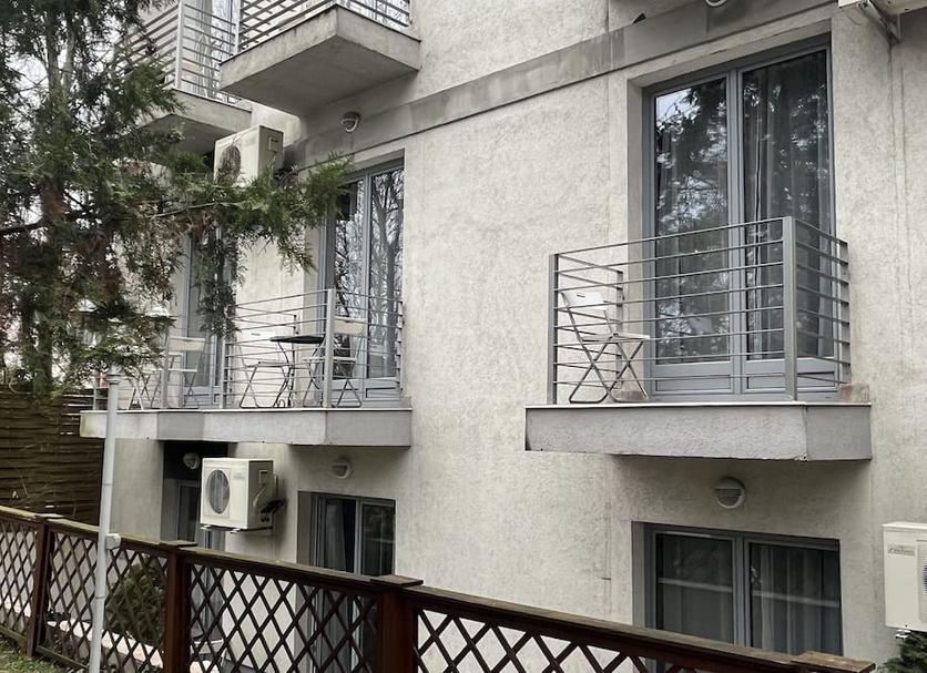 屋外の景色 写真