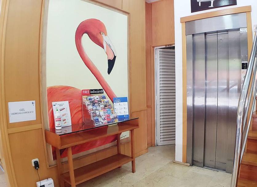 客室の設備 写真