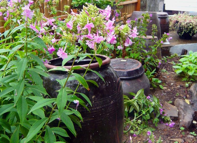 屋外の景色 写真