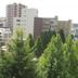 屋外の景色