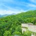屋外の景色