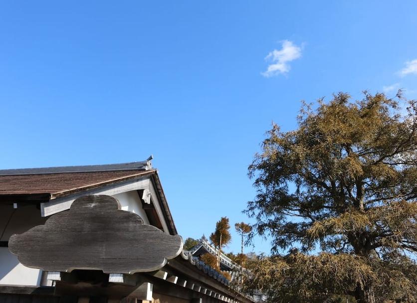 アトラクション 写真