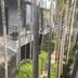 屋外の景色