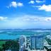 屋外の景色
