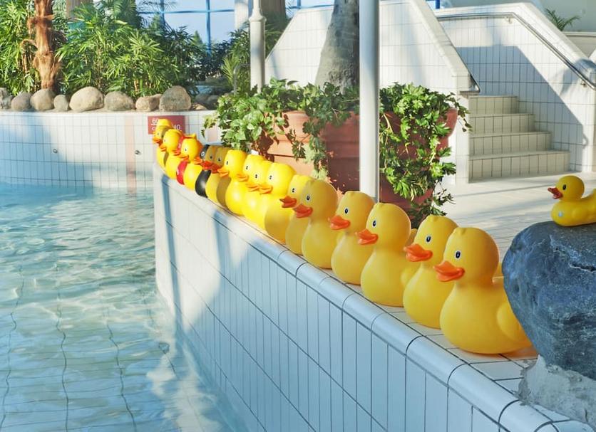 その他 写真