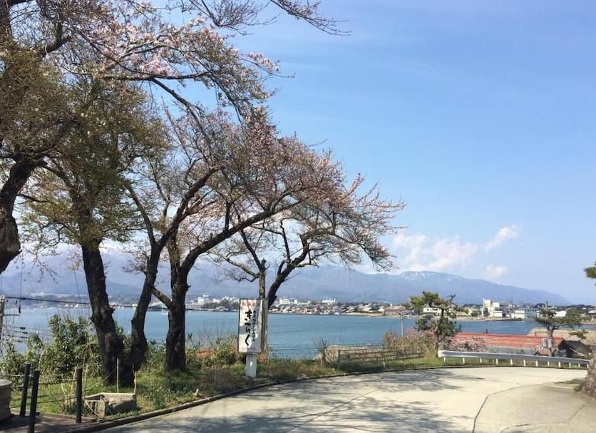 屋外の景色 写真