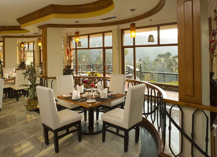 レストラン 写真