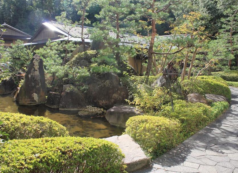 屋外の景色 写真