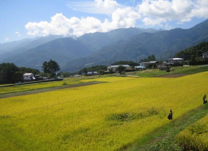 屋外の景色 写真