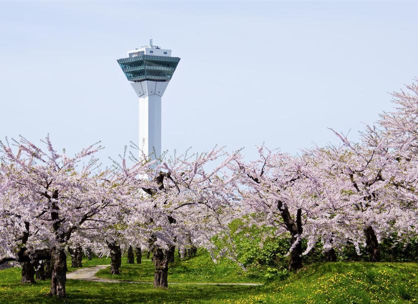 客室の設備 写真