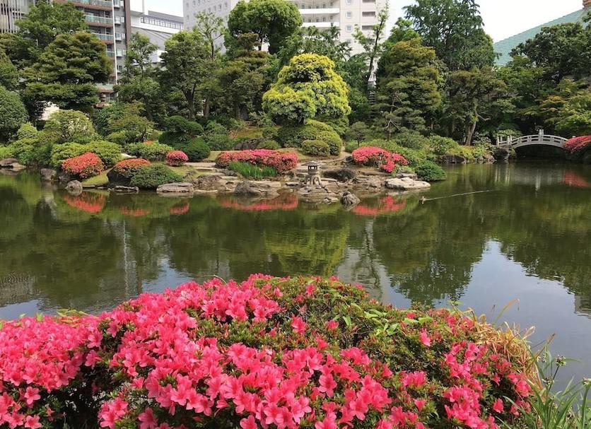屋外の景色 写真