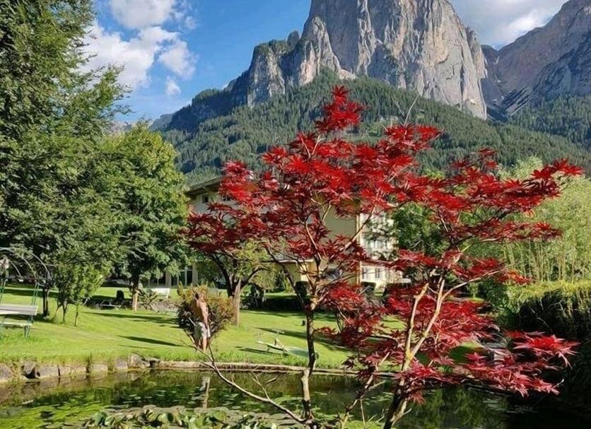 屋外の景色 写真