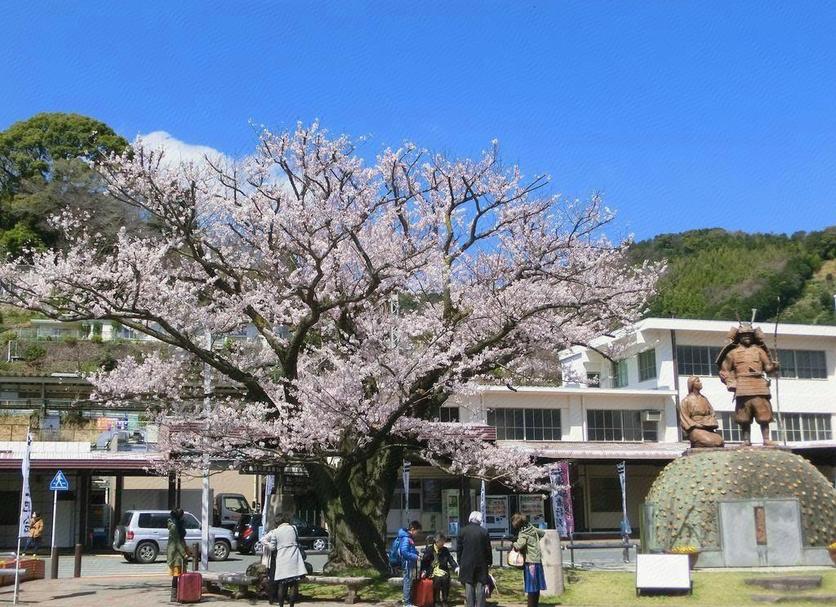 屋外の景色 写真