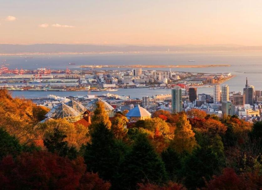 屋外の景色 写真