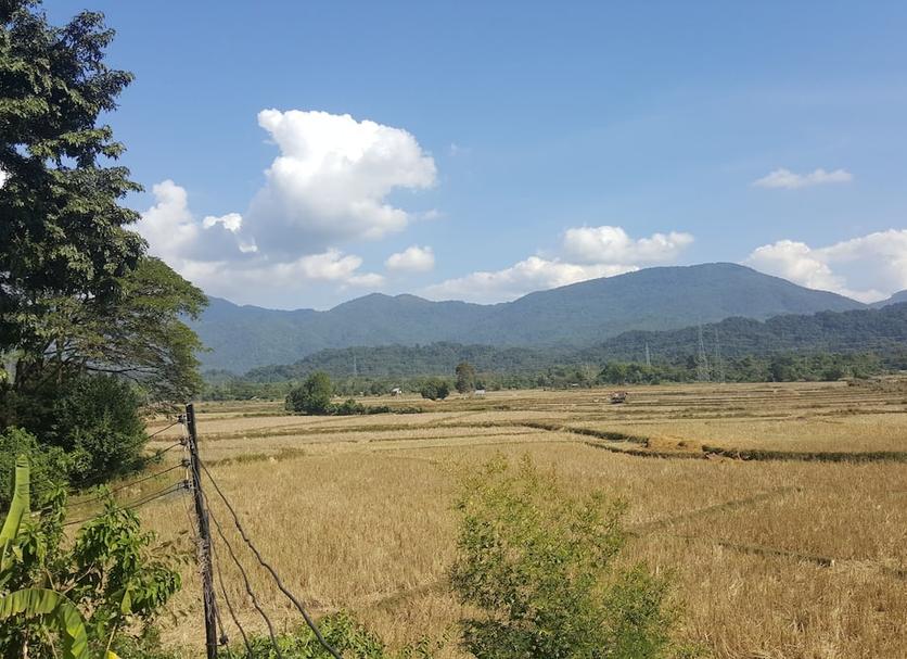 屋外の景色 写真