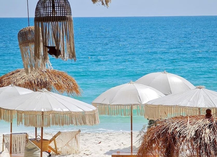 レストラン 写真