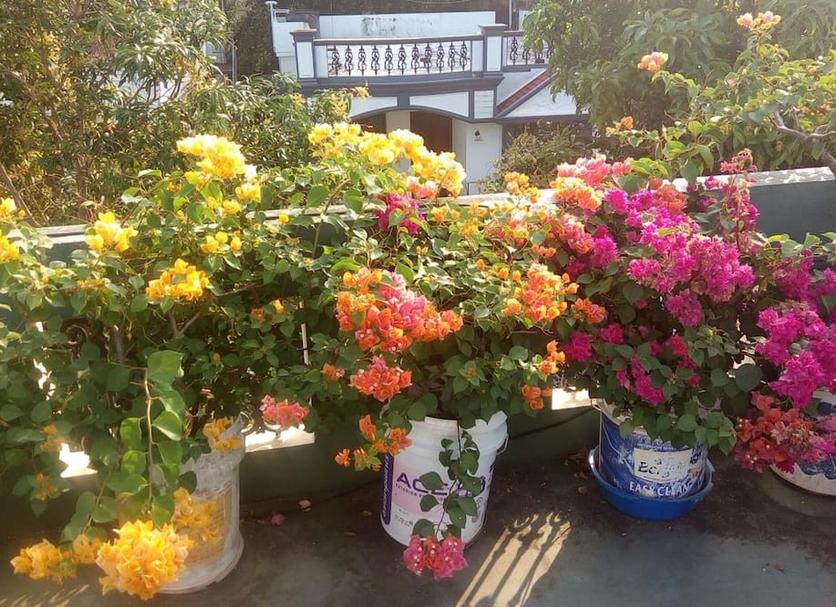 屋外の景色 写真