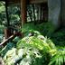 屋外の景色