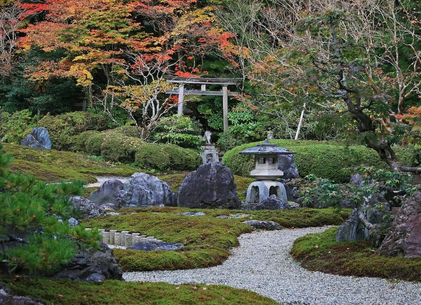 その他 写真