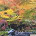 屋外の景色