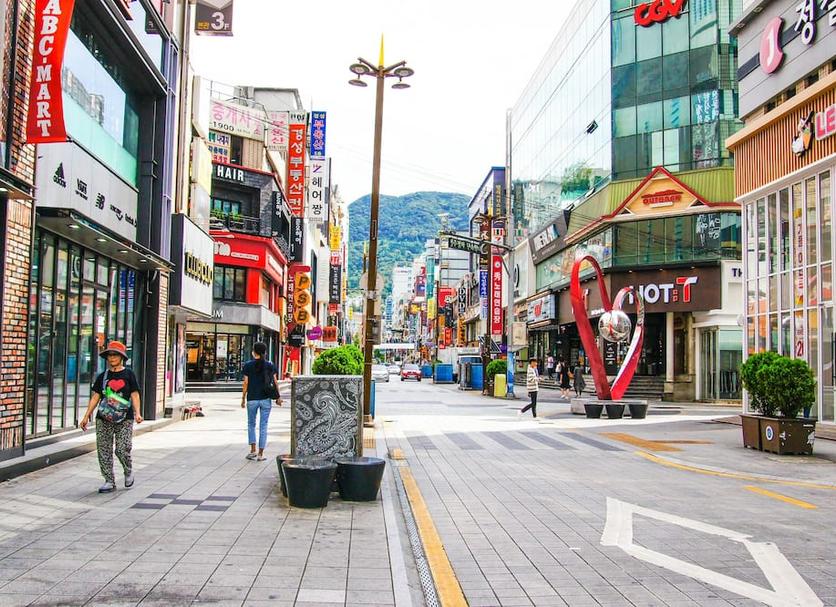 屋外の景色 写真