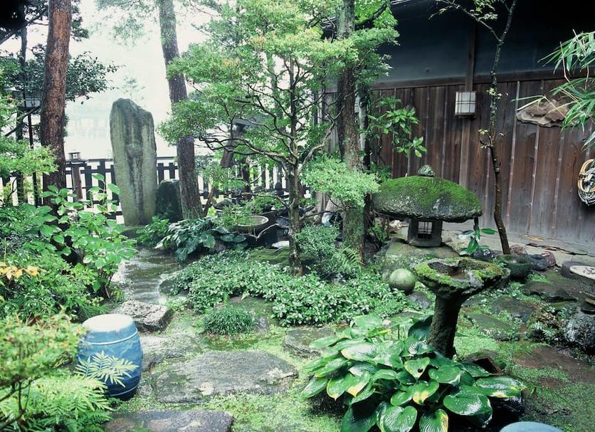 屋外の景色 写真