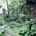 屋外の景色