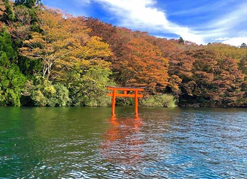 屋外の景色 写真