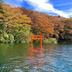 屋外の景色