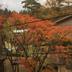 屋外の景色