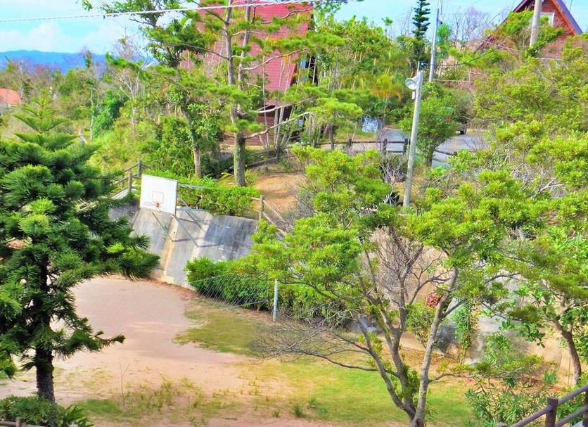 屋外の景色 写真