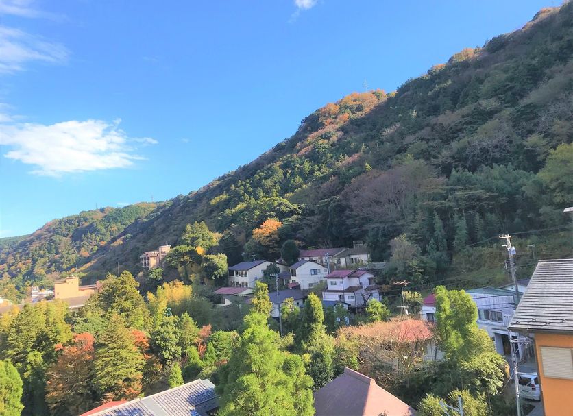 屋外の景色 写真