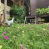 屋外の景色